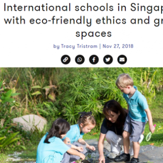 Eco Friendly International Schools